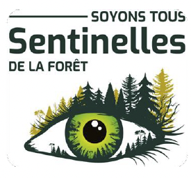sentinelles