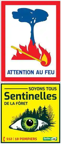 Sentinelles de la forêt